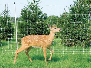 Stupovi ograde od stakloplastike za odvraćanje divljih životinja na poljima usjeva: robusna potpora za ograde od jelena i barijere za divlje životinje